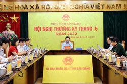 Tập trung hỗ trợ tiêu thụ vải thiều, giải ngân vốn đầu tư công
