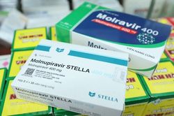 Cấp phép thêm 1 thuốc Molnupiravir điều trị COVID-19 sản xuất ở VN