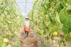 Vĩnh Linh chú trọng hoạt động khoa học và công nghệ