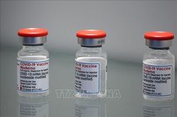 Bỉ loại bỏ gần nửa triệu liều vaccine chống COVID-19