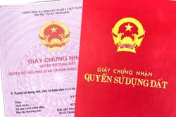 Ông ngoại muốn sang tên sổ đỏ cho chúng tôi, bạn gái tôi một mực phản đối