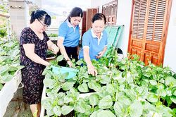 Phát triển nhiều chi hội phụ nữ mẫu