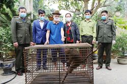 Chung tay bảo vệ động vật hoang dã