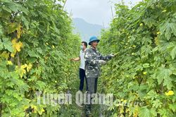 Bắt đầu từ tình yêu lao động