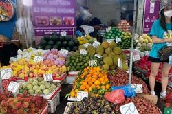 Đắt ngang nho Mỹ, ngọt như Cherry, loại mận trồng trên núi cao Việt Nam 'siêu' hút khách