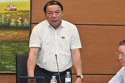 'Văn hóa tạo vaccine tinh thần để chúng ta vượt qua đại dịch'