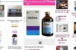 Thuốc mê, thuốc kích dục ngập tràn chợ mạng