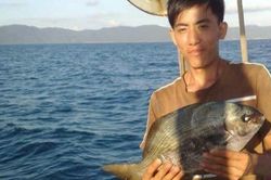 Dụng công săn loài cá tà ma mà giới nhà giàu săn lùng