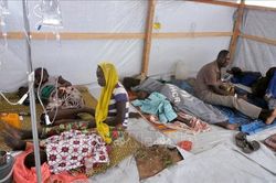 Hơn 140 người tử vong trong đợt bùng phát dịch tả ở Cameroon
