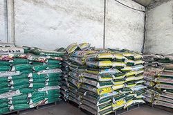 Quản lý thị trường Vĩnh Long: Xử phạt hộ kinh doanh phân bón giả về giá trị sử dụng