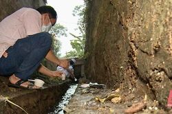 Tăng cường triển khai thực hiện công tác điều trị sốt xuất huyết Dengue