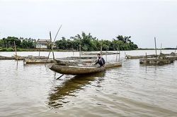 Vượt được lũ khi nuôi cá trong 'lồng thuyền'