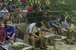 63 'dân bay' dương tính với ma túy trong bar Paradise