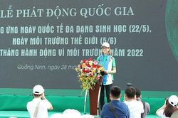 Vì môi trường Việt Nam: Bốn khuyến cáo của UNDP