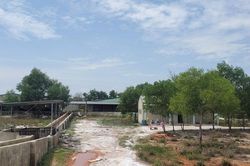 Phạt Công ty CP Liên doanh VLXD Bảo Nguyên vì xả thải gây ô nhiễm môi trường