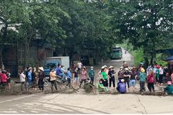 Vụ cây chết héo ở Lào Cai: Dân chặn đường ra vào khu công nghiệp