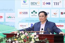 Thủ tướng Chính phủ Phạm Minh Chính: Hỗ trợ nông dân toàn diện, thực chất, hiệu quả