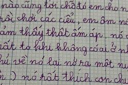 Bài văn tả chú mèo hàng xóm của bé gái tiểu học khiến cộng đồng mạng cười nghiêng ngả