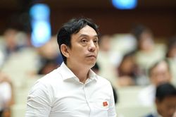 'Có những dự án sau điều chỉnh dân số tăng thêm gần 1 phường'