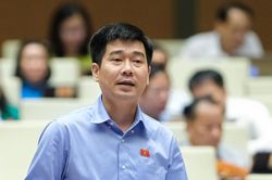 Đại biểu Quốc hội: Nguyên nhân nào dẫn đến tình trạng 'sốt ảo' đất đai?