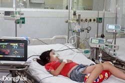 Duy trì thường xuyên đường dây nóng điều trị sốt xuất huyết