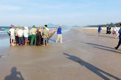 Nghi vấn 1 ngư dân ở Hà Tĩnh bị tàu giã cào đâm rơi xuống biển tử vong