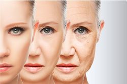 Nóng: Tìm ra 'bảo bối' giúp con người kéo dài tuổi thọ đến 1.000 năm?