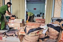 Hà Giang: Lợi dụng dịch vụ bưu chính để buôn gỗ nghiến