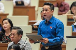 'Không được ngăn chặn, cản trở việc phổ biến, sử dụng Quốc kỳ, Quốc huy, Quốc ca'