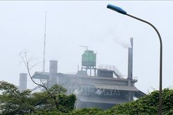 Cây trồng bị cháy lá tại Lào Cai: Xuất phát từ sự cố về công nghệ của Nhà máy DAP số 2