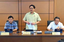 Đoàn ĐBQH tỉnh Quảng Trị thảo luận dự thảo Luật Phòng, chống bạo lực gia đình (sửa đổi) và Luật Thực hiện dân chủ cơ sở