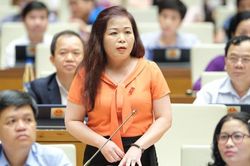 Thiếu cơ chế phối hợp, chia sẻ nguồn lực giữa các tỉnh trong vùng