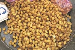 Loại củ giải nhiệt có cái tên lạ đời, được người Sài Gòn săn tìm vào mùa nóng