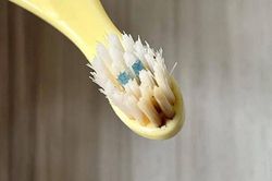 Giật mình món đồ quen thuộc là 'ổ vi khuẩn' đe dọa trẻ nhỏ