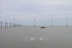 Sớm gỡ rào cản cho điện gió ngoài khơi