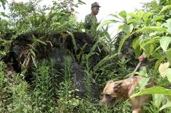 Xuyên đêm tìm kiếm nam thanh niên đi lạc trong rừng
