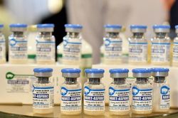 Chính thức công bố lưu hành vaccine thương mại dịch tả lợn Châu Phi