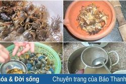 Cua đồng nấu lá vông vang