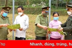 Khai thác tiềm năng, lợi thế phát triển lâm sản ngoài gỗ