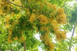Đừng nghe đàn ông nói