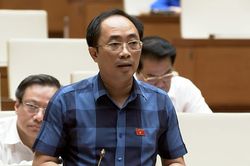 ĐBQH Lê Nhật Thành (Hà Nội): Thúc đẩy xã hội hóa giảm gánh nặng cho Nhà nước