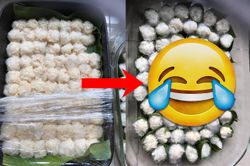 Tập tành làm cơm rượu đón Tết Đoan Ngọ vô tình tạo ra 'mẫu vật phòng thí nghiệm'