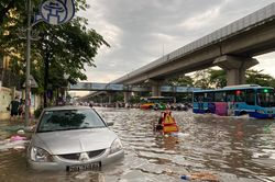 Đại sứ EU: Lụt lội đô thị chỉ là phần ngọn của vấn đề