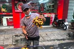 Trái cây vào hè: Sầu riêng rớt giá, vải đầu mùa rẻ bất ngờ