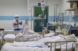 Hai người từ châu Phi về TPHCM bị hôn mê, suy thận vì sốt rét ác tính
