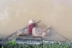 Phát hiện thi thể bé gái đang phân hủy trên kênh thủy lợi ở Nghệ An