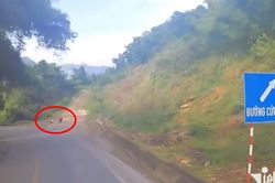 Hai người đàn ông bình thản ngồi giữa đường cứu nạn nhìn xe mất phanh lao đến