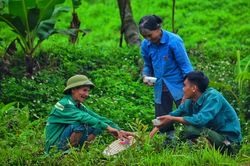 Cháu trai bỏ phố về quê, sống cùng ông bà ở bìa rừng