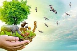 50 năm ngoại giao môi trường Liên hợp quốc: Nhìn lại thành tựu và những xu hướng tương lai