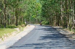 Bản Chùa đã có tuyến đường nhựa nối với trung tâm xã